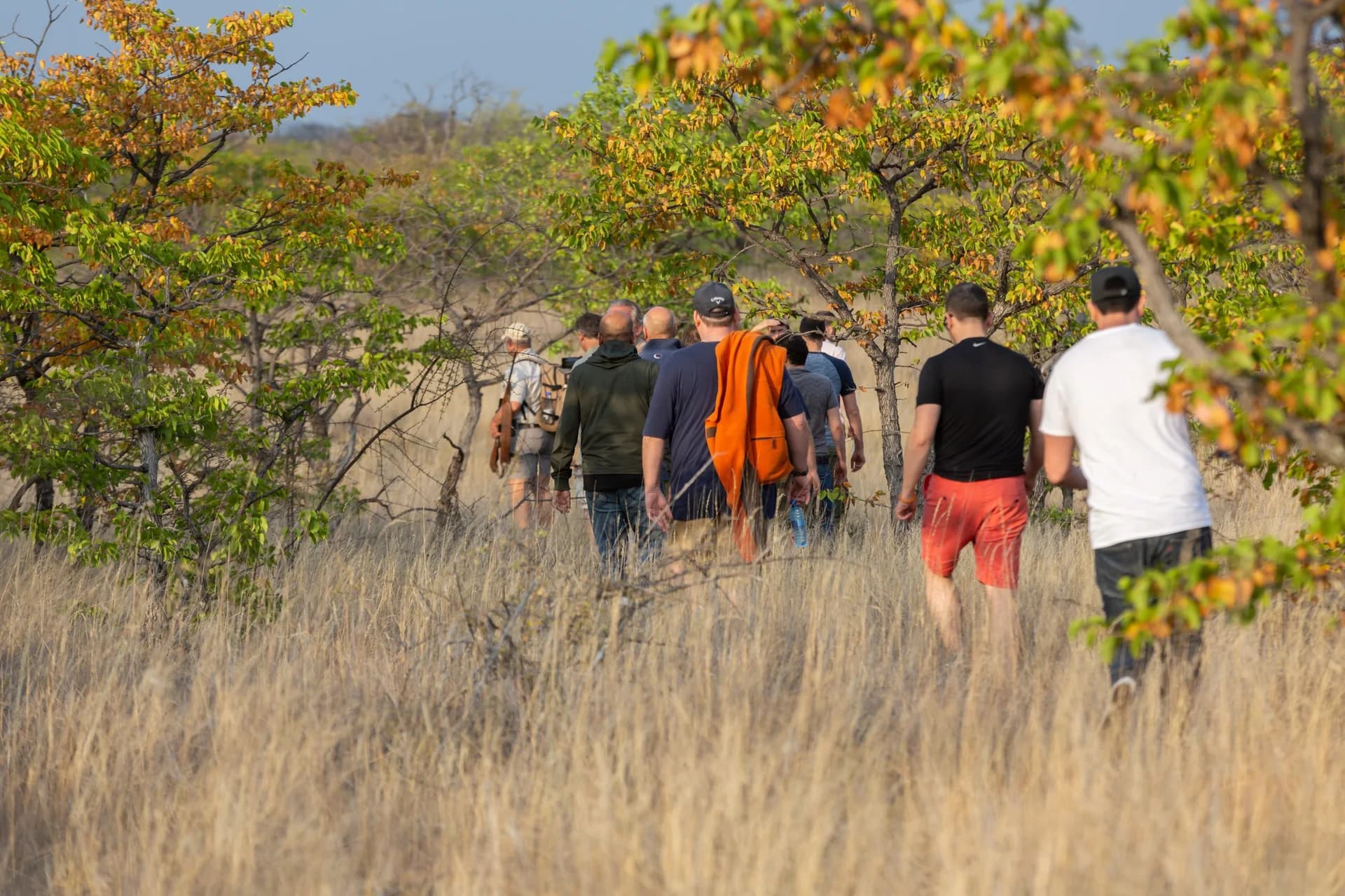 Guided group walking through dry bushveld, Walking safaris
