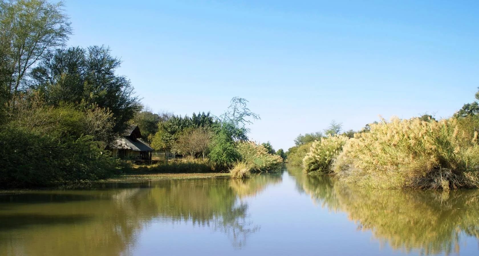 River bordered by trees beneath a blue sky, Mogalakwena River Lodge