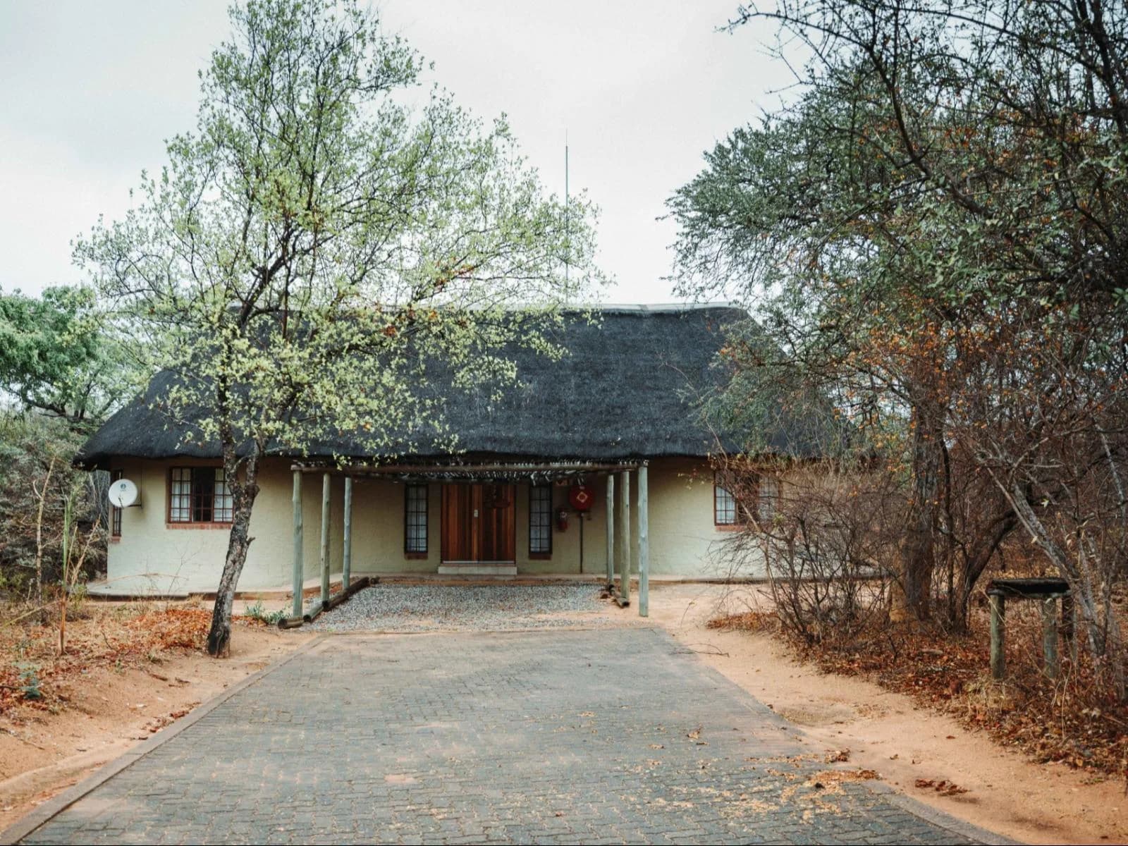 Thatched lodge building beneath trees, Pafuri and northern Kruger