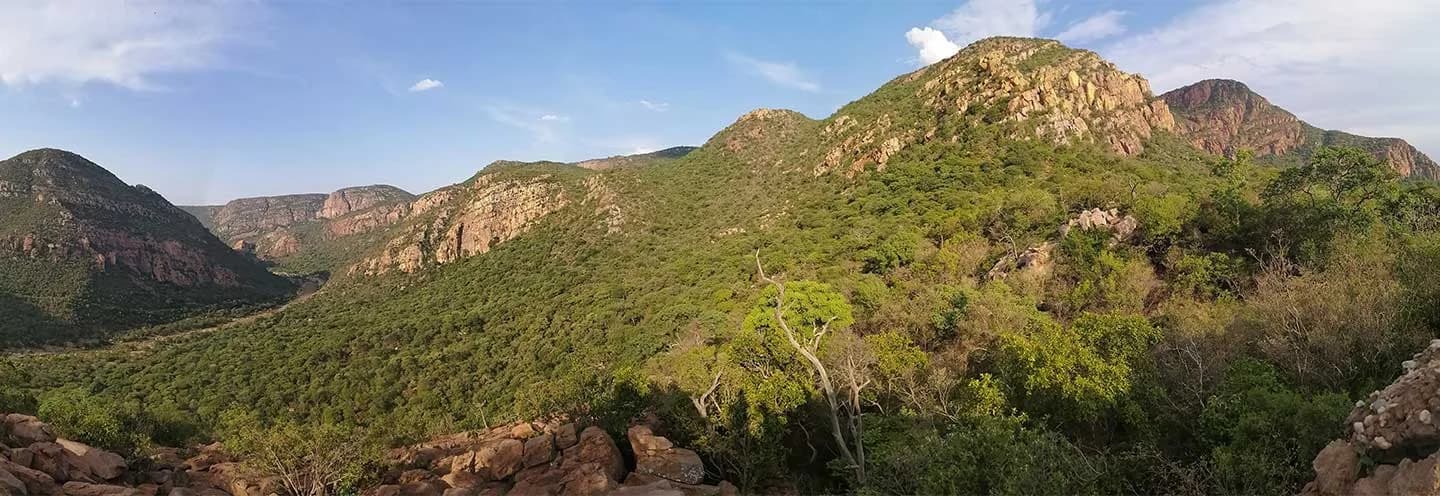 Panoramic mountain slopes covered in green vegetation, Medike reserve stays