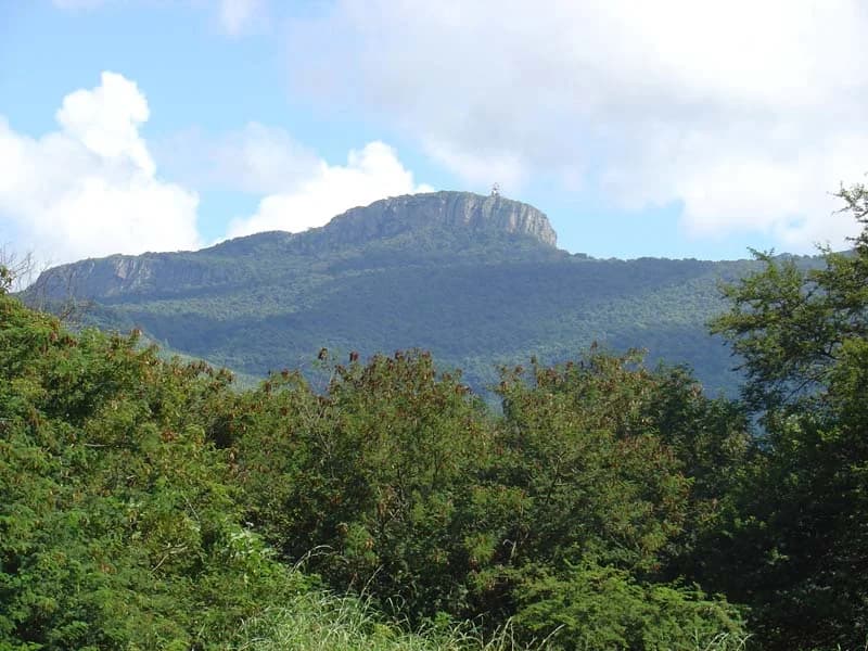 Hanglip’s flat-topped mountain rising beyond dense trees beneath a clouded sky, Hanglip trails information