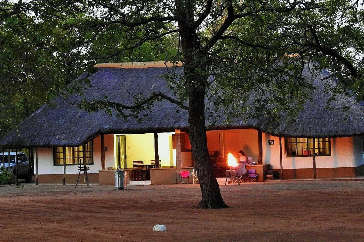 Illuminated thatched camp building beneath large trees at dusk, Shingwedzi Rest Camp