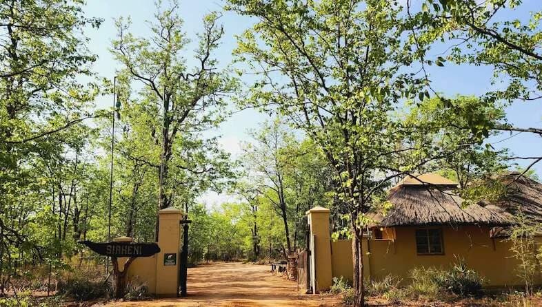 Sirheni camp entrance between low gate pillars beneath leafy trees, Sirheni Bushveld Camp